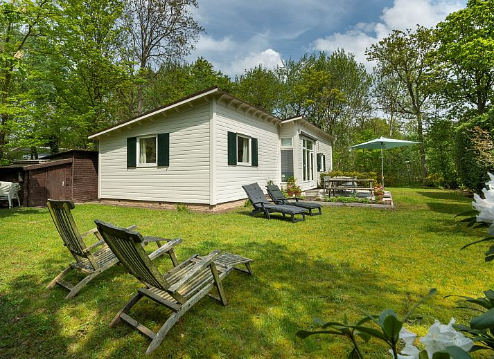 Unterkunft 600911 - Chalet Schouwen-Duiveland - Natuurhuisje Berkenpad 6