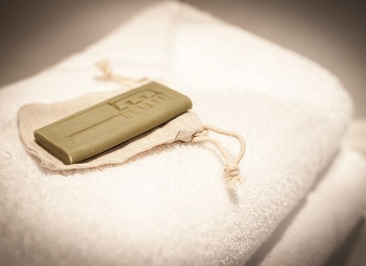 Guest house 601008 - Holiday property Schouwen-Duiveland - Vakantiehuis in Noordwelle