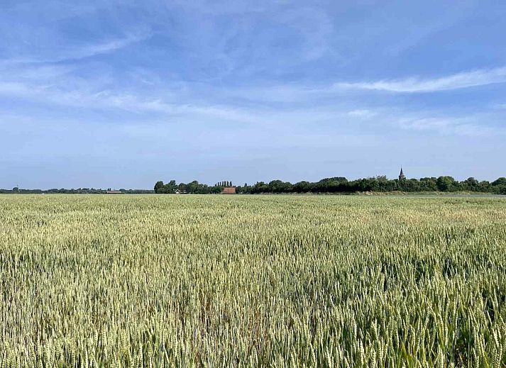 Guest house 601011 - Holiday property Schouwen-Duiveland - ZE086