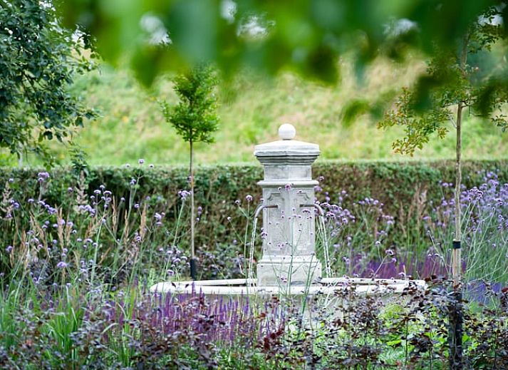 Guest house 601337 - Holiday property Schouwen-Duiveland - Huisje in Zonnemaire