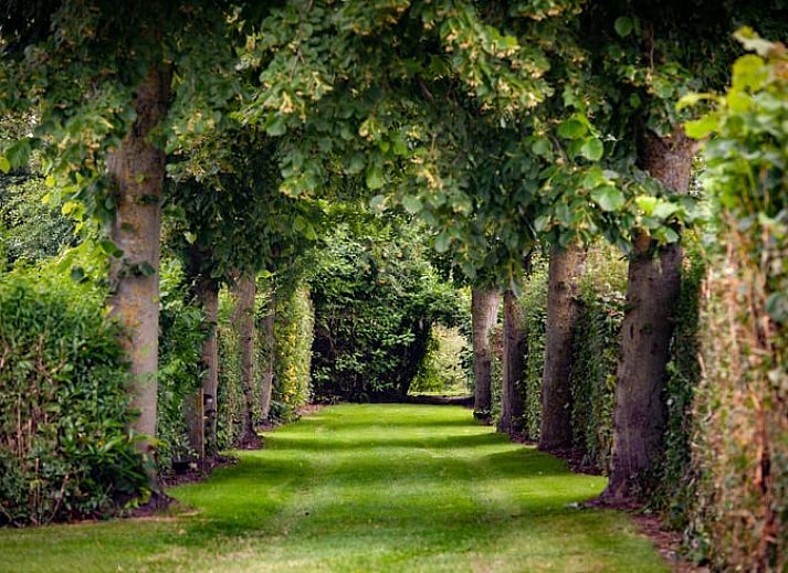 Guest house 601337 - Holiday property Schouwen-Duiveland - Huisje in Zonnemaire