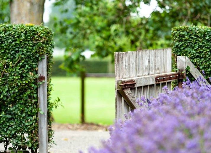 Guest house 601337 - Holiday property Schouwen-Duiveland - Huisje in Zonnemaire