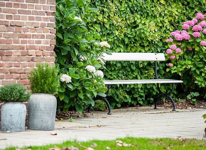 Guest house 601337 - Holiday property Schouwen-Duiveland - Huisje in Zonnemaire