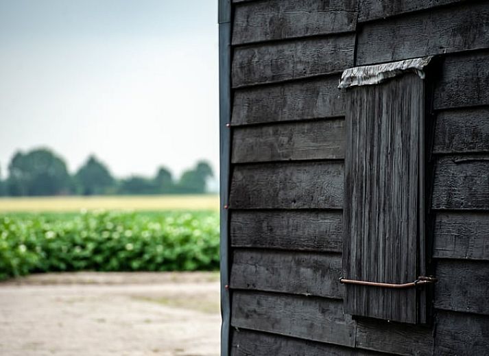 Guest house 601337 - Holiday property Schouwen-Duiveland - Huisje in Zonnemaire