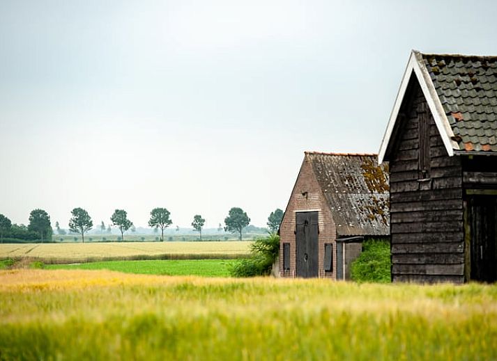 Guest house 601337 - Holiday property Schouwen-Duiveland - Huisje in Zonnemaire