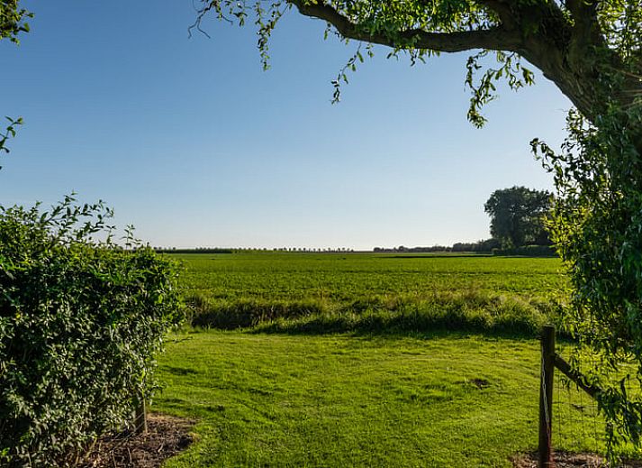 Guest house 601337 - Holiday property Schouwen-Duiveland - Huisje in Zonnemaire