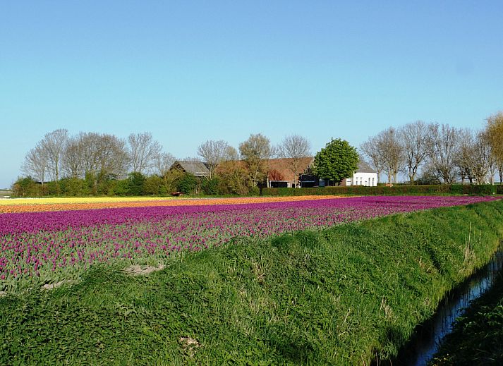 Unterkunft 601347 - Ferienhaus Schouwen-Duiveland - Vakantiehuis Camping Hofstede Zonnevliet - Buitenlust