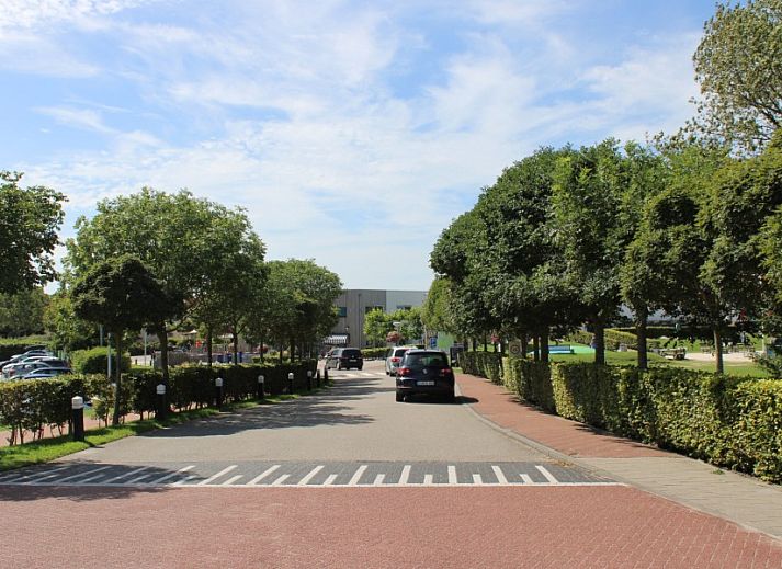 Guest house 601401 - Bungalow Schouwen-Duiveland - Ostrea no 11