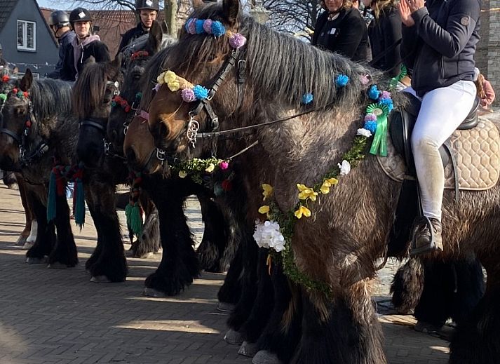 Guest house 601427 - Holiday property Schouwen-Duiveland - Familiehuis Christoffel  Park Port Greve 