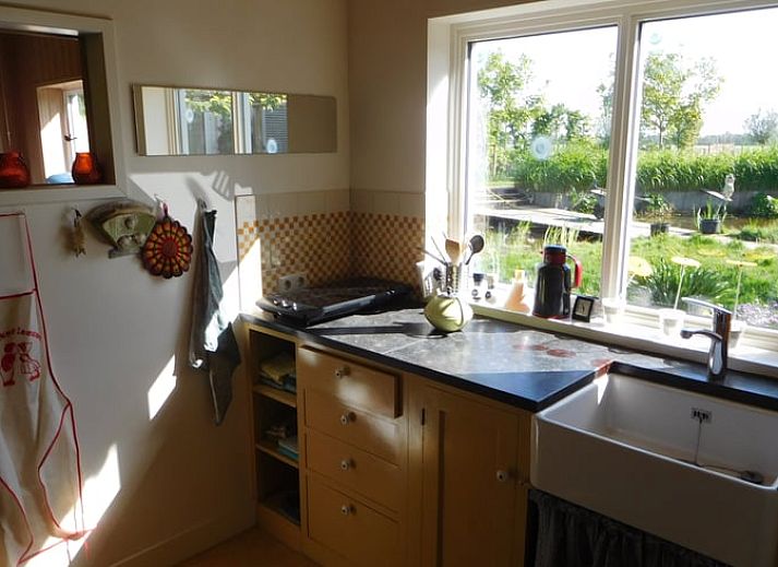 Blick aus dem Fenster des Ferienhauses in Dreischor, einem Ferienhaus in Schouwen-Duiveland, Zeeland, mit einem gruenen Garten und einem Teich.