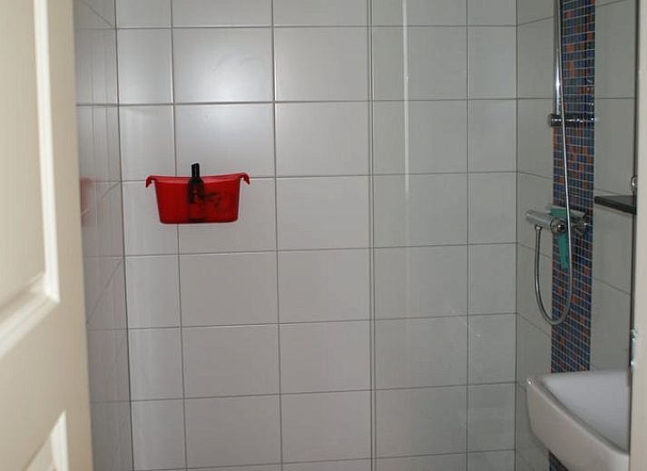 Gemuetlicher Aussenbereich von Holiday home in Dreischor, einem Ferienhaus in Schouwen-Duiveland, Zeeland, umgeben von ueppiger Natur.