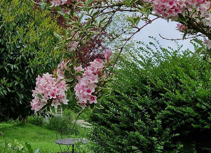 Gezellige tuin bij Vakantiehuisje in Dreischor, Schouwen-Duiveland, Zeeland met bloemen en groene omgeving.