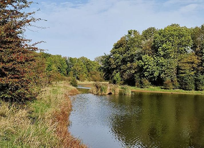 Gezellige tuin bij Vakantiehuisje in Dreischor, Schouwen-Duiveland, Zeeland met bloemen en groene omgeving.