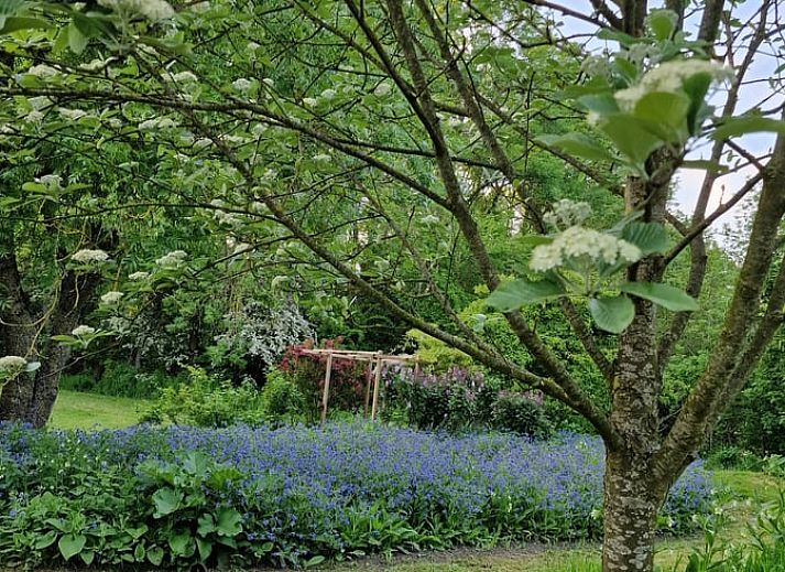 Gezellige tuin bij Vakantiehuisje in Dreischor, Schouwen-Duiveland, Zeeland met bloemen en groene omgeving.