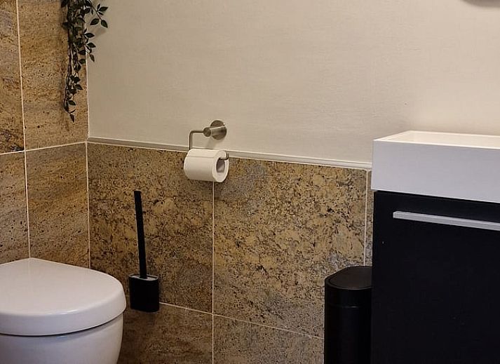 Rustieke vijver in de natuur rondom Vakantiehuisje in Dreischor, Schouwen-Duiveland, Zeeland.