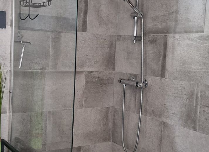 Rustieke vijver in de natuur rondom Vakantiehuisje in Dreischor, Schouwen-Duiveland, Zeeland.