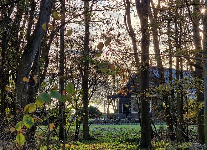 Groene oase bij Vakantiehuisje in Dreischor, Schouwen-Duiveland, Zeeland met bomen en tuinmeubilair.