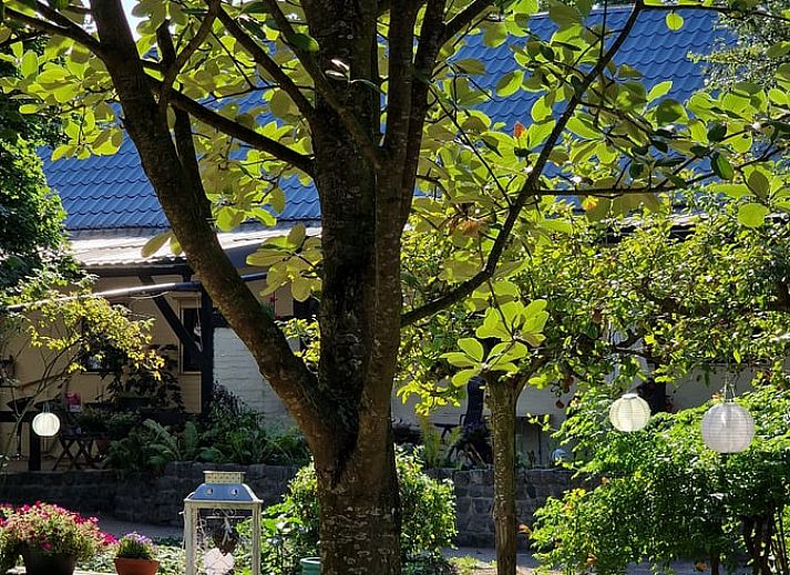 Bloemenpracht in de tuin van Vakantiehuisje in Dreischor, Schouwen-Duiveland, Zeeland voor natuurliefhebbers.