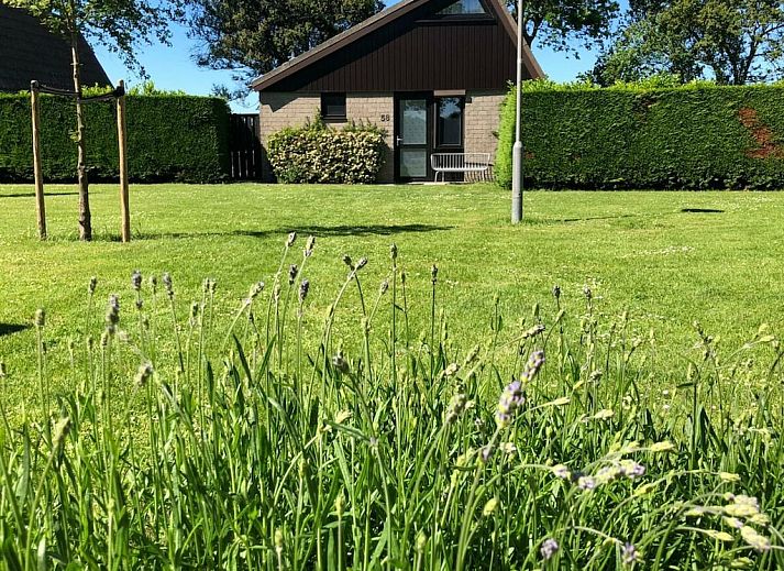 Verblijf 602005 - Vakantiewoning Schouwen-Duiveland - 340918