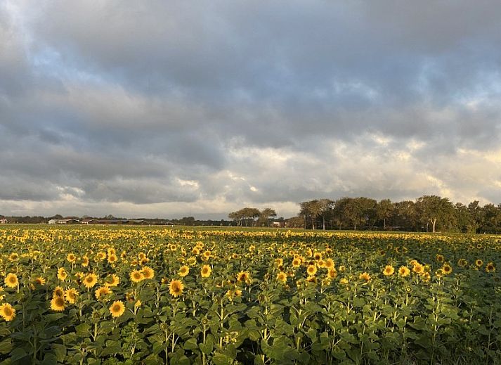Verblijf 602017 - Vakantiewoning Schouwen-Duiveland - Buitenplaats Oudendijke 6 pers