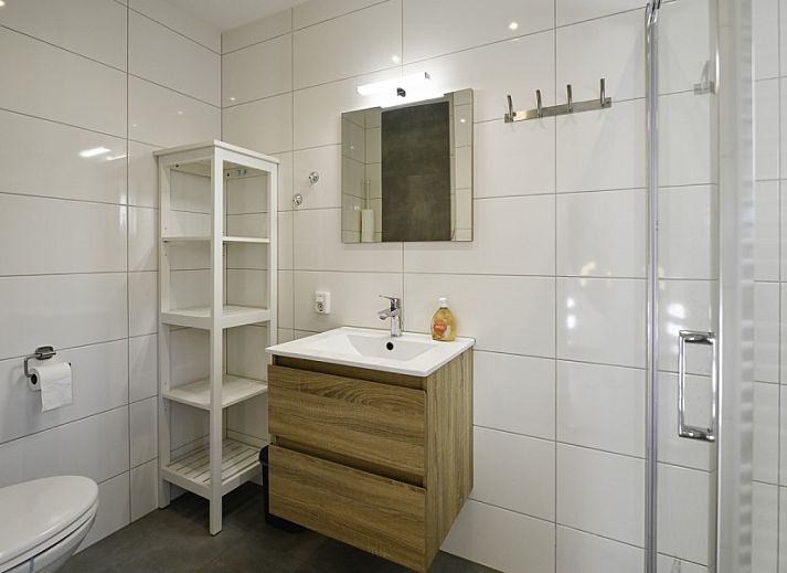 Luftaufnahme von Ellemeet aan zee, Ferienhaus in Ellemeet, Zeeland, mit sonniger Terrasse und gruener Umgebung.