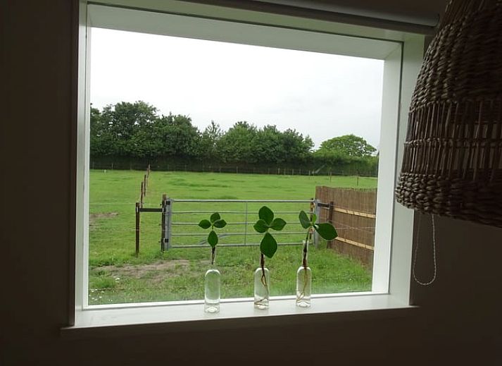 Unterkunft 603106 - Ferienhaus Schouwen-Duiveland - Vakantiehuis in Noordgouwe