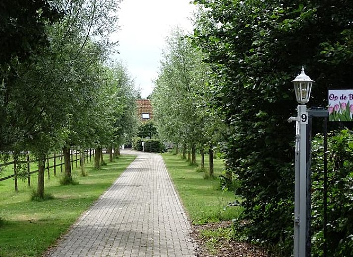 Unterkunft 603106 - Ferienhaus Schouwen-Duiveland - Vakantiehuis in Noordgouwe