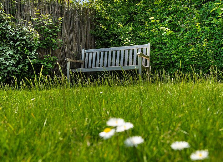 Sonniges Wohnzimmer im Ferienhaus Scalde Oort 43 Duinzigt, Westenschouwen, mit Blick auf den Garten in Zeeland.