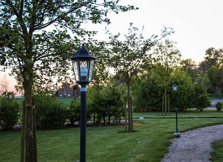 Erholsame Schaukel unter einem Baum mit Blick auf die Felder im Ferienhaus in Looperskapelle, Zeeland.