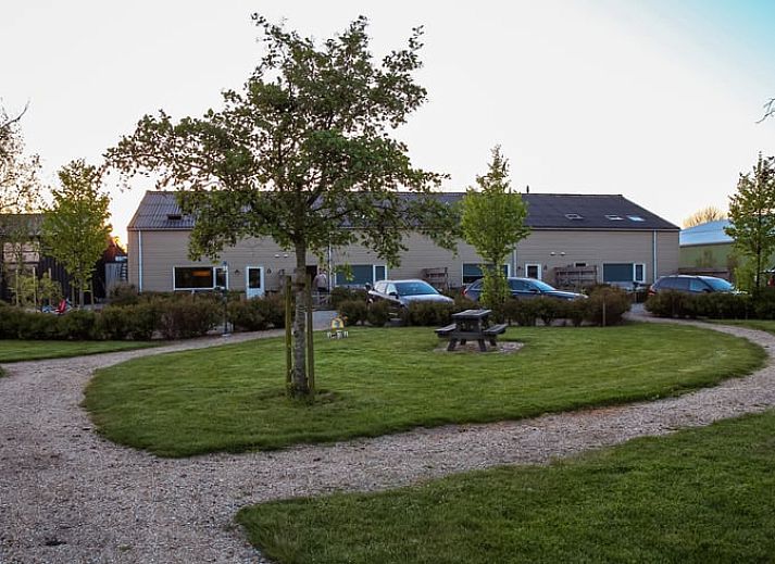 Erholsame Schaukel unter einem Baum mit Blick auf die Felder im Ferienhaus in Looperskapelle, Zeeland.