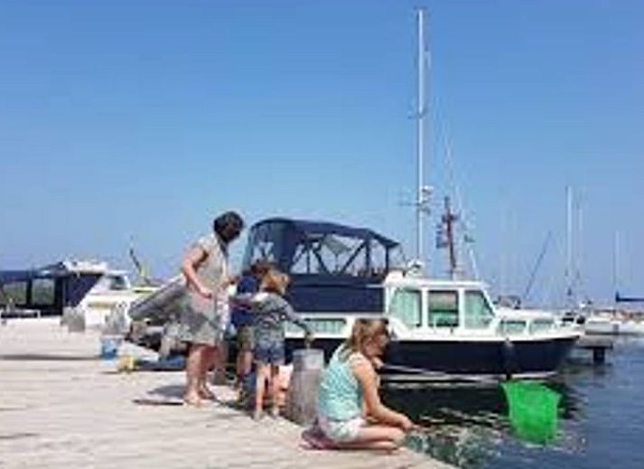 Unterkunft 603802 - Ferienhaus Schouwen-Duiveland - Huisje in Looperskapelle