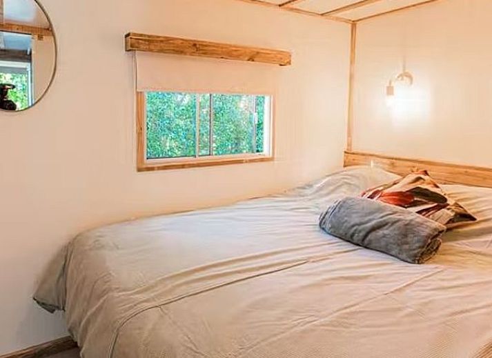 Unterkunft 603802 - Ferienhaus Schouwen-Duiveland - Huisje in Looperskapelle