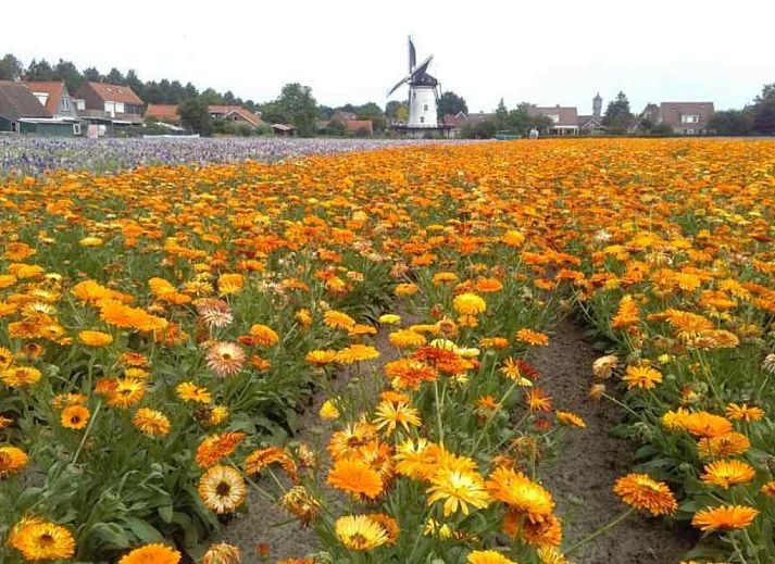 Charmante entree van vakantiehuis ZE998 in Sint-Annaland, Tholen met houten veranda en tuin.