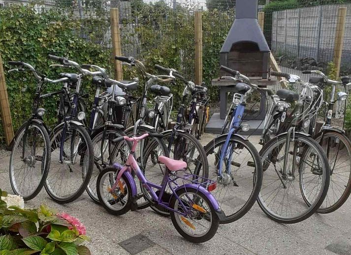 Charmante entree van vakantiehuis ZE998 in Sint-Annaland, Tholen met houten veranda en tuin.