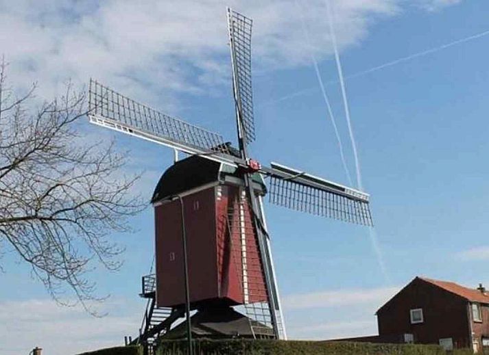 Prachtige bloementuin in de omgeving van vakantiehuis ZE998 in Sint-Annaland, Tholen.