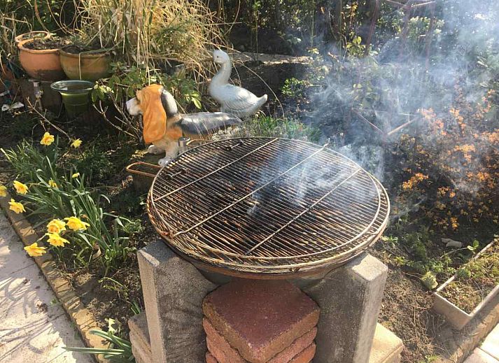 Geniessen Sie die sonnige Veranda des Ferienhauses ZE476 in Sint-Annaland, Tholen, Zeeland.