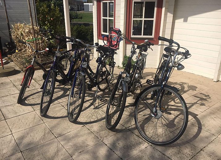 Gemuetliche Terrasse im VZ476 Ferienchalet Sint-Annaland in Tholen, Zeeland