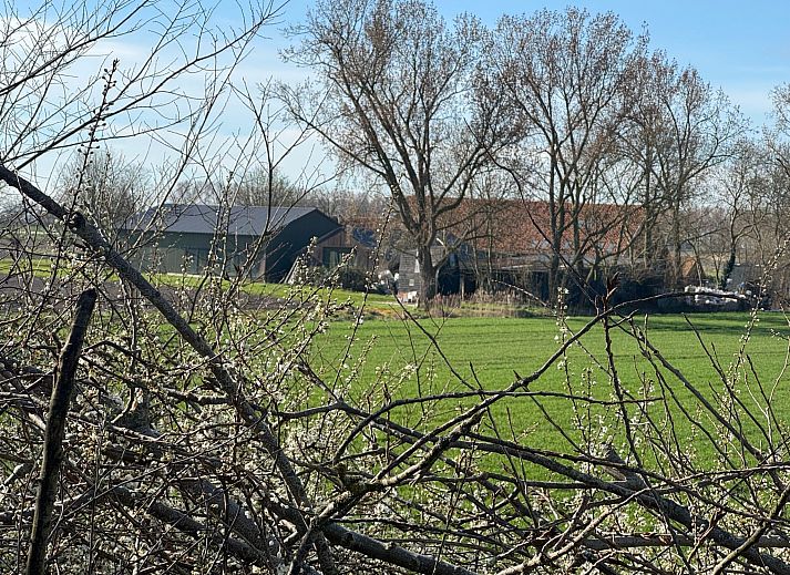 Verblijf 610136 - Vakantiewoning Tholen - Vakantiehuis Luxus-App in der Scheune "Strandje groote Nol"