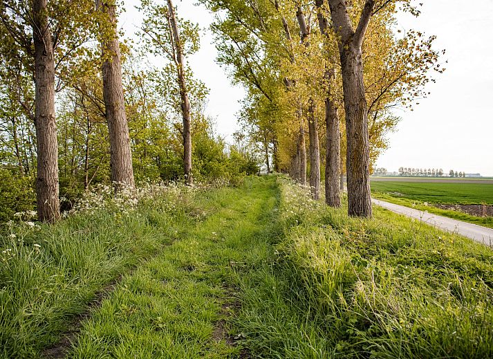 Verblijf 610136 - Vakantiewoning Tholen - Vakantiehuis Luxus-App in der Scheune "Strandje groote Nol"