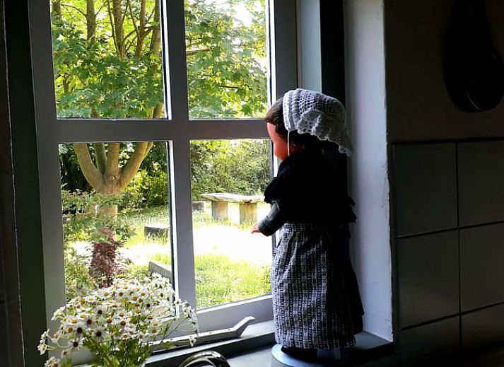 Wanderweg durch die gruene Umgebung bei Huisje in Stavenisse, Ferienhaus in Tholen, Zeeland.