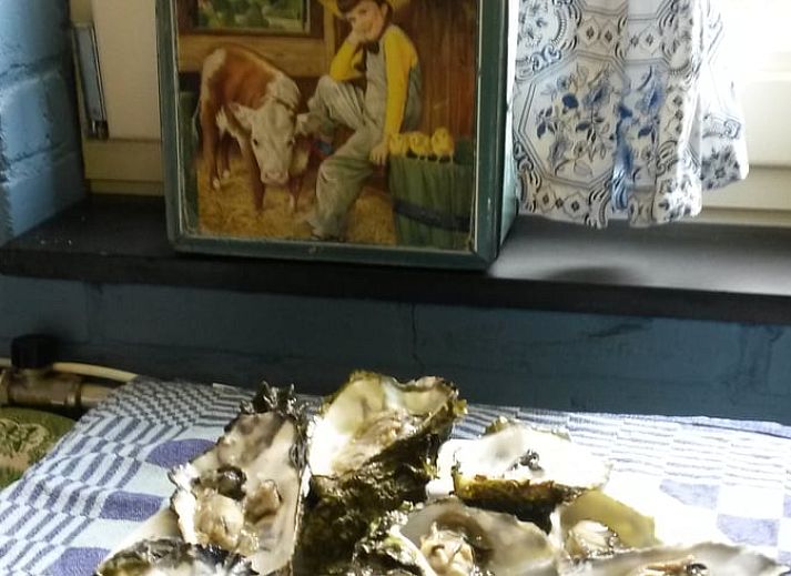 Traditionelle Puppe am Fenster mit Blick auf den Garten, Cottage in Stavenisse, Ferienhaus in Zeeland.