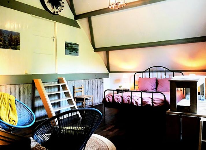 Charmanter Aussenbereich des Huisje in Stavenisse, Ferienhaus in Tholen, Zeeland mit Blumentoepfen.