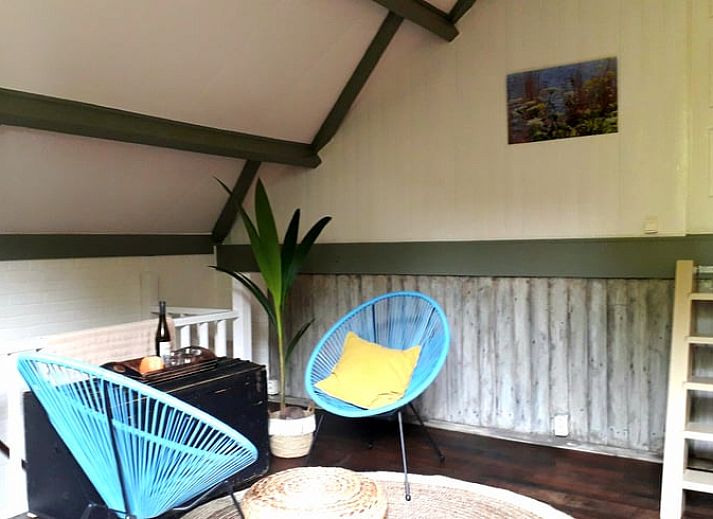 Charmanter Aussenbereich des Huisje in Stavenisse, Ferienhaus in Tholen, Zeeland mit Blumentoepfen.