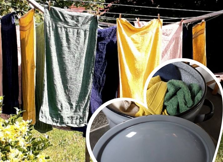 Kleiner Tisch mit Lavendel im Huisje in Stavenisse, Ferienhaus in Tholen, Zeeland.