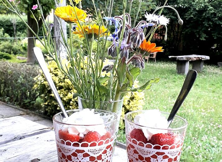 Gemuetliches Wohnzimmer in Cottage in Stavenisse, Ferienhaus in Tholen, Zeeland mit bunten Kissen.