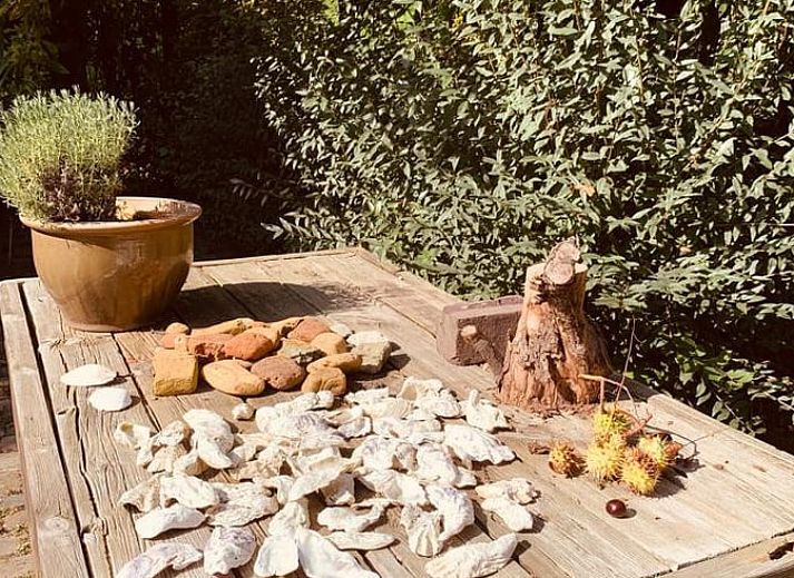 Gemuetliches Wohnzimmer in Cottage in Stavenisse, Ferienhaus in Tholen, Zeeland mit bunten Kissen.