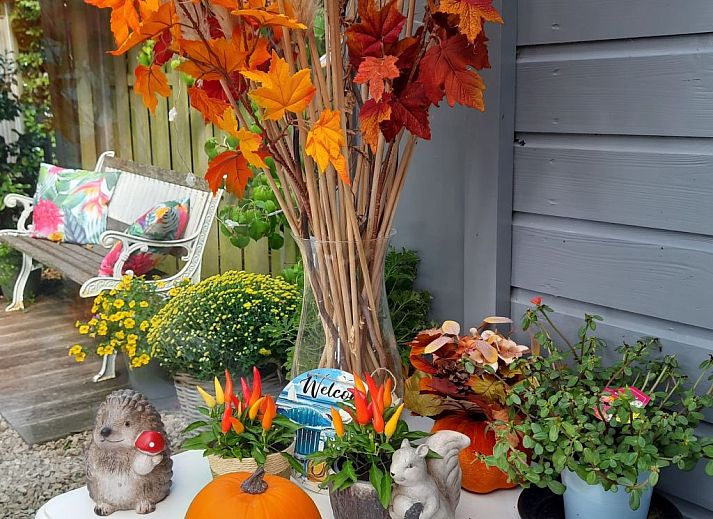 Guest house 610411 - Holiday property Tholen - Vakantiehuis Schöne Familien-Ferienwohnung in Zeeland