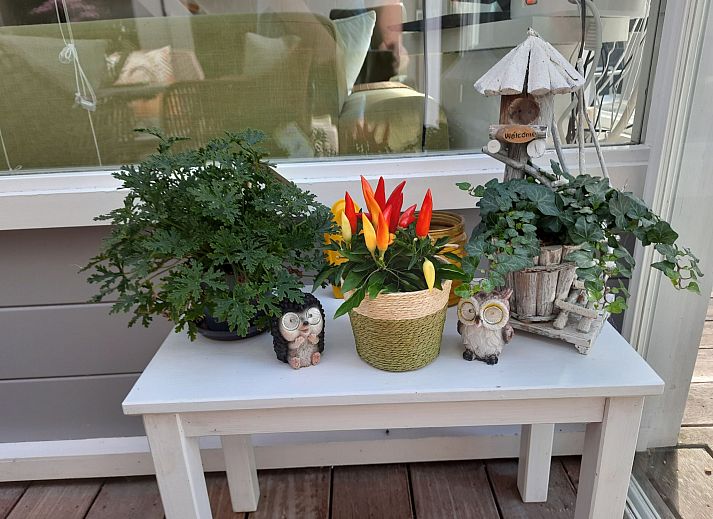 Guest house 610411 - Holiday property Tholen - Vakantiehuis Schöne Familien-Ferienwohnung in Zeeland