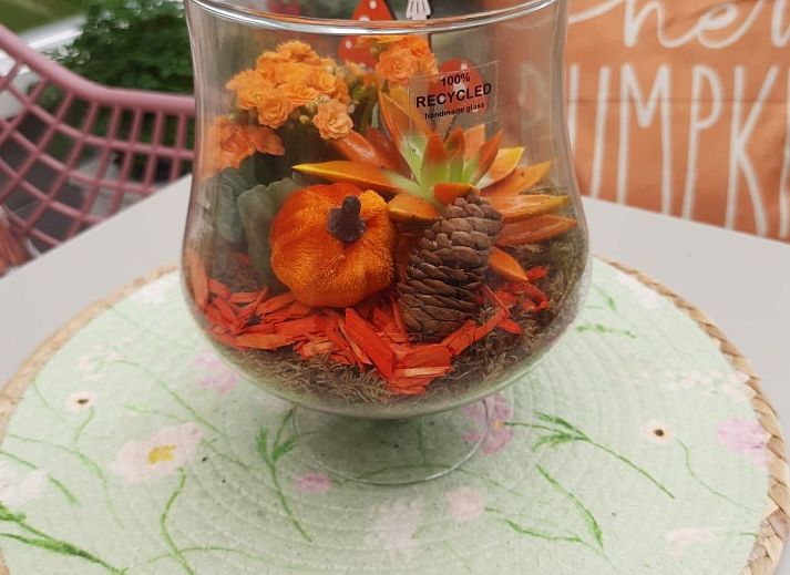 Guest house 610411 - Holiday property Tholen - Vakantiehuis Schöne Familien-Ferienwohnung in Zeeland