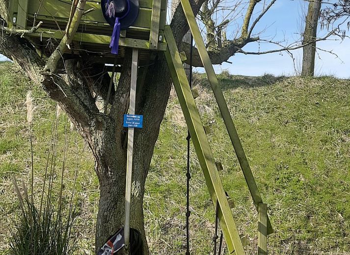 Guest house 610411 - Holiday property Tholen - Vakantiehuis Schöne Familien-Ferienwohnung in Zeeland